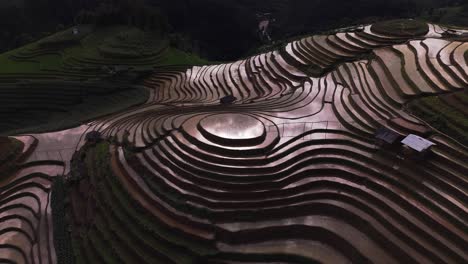 aerial view of reflecting terraced rice fields