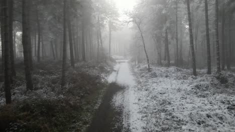 Drone-footage-flying-through-a-misty-frozen-forest