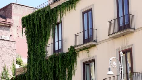 un edificio con paredes y balcones cubiertos de hiedra