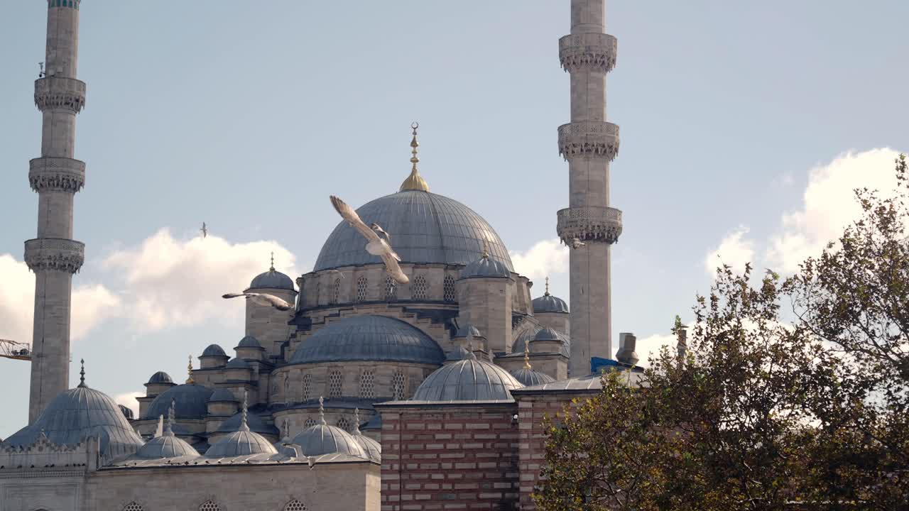Istanbul Mosque with Seagulls