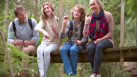 Familie-Sitzt-Auf-Einer-Holzbrücke-Und-Spielt-Im-Wald