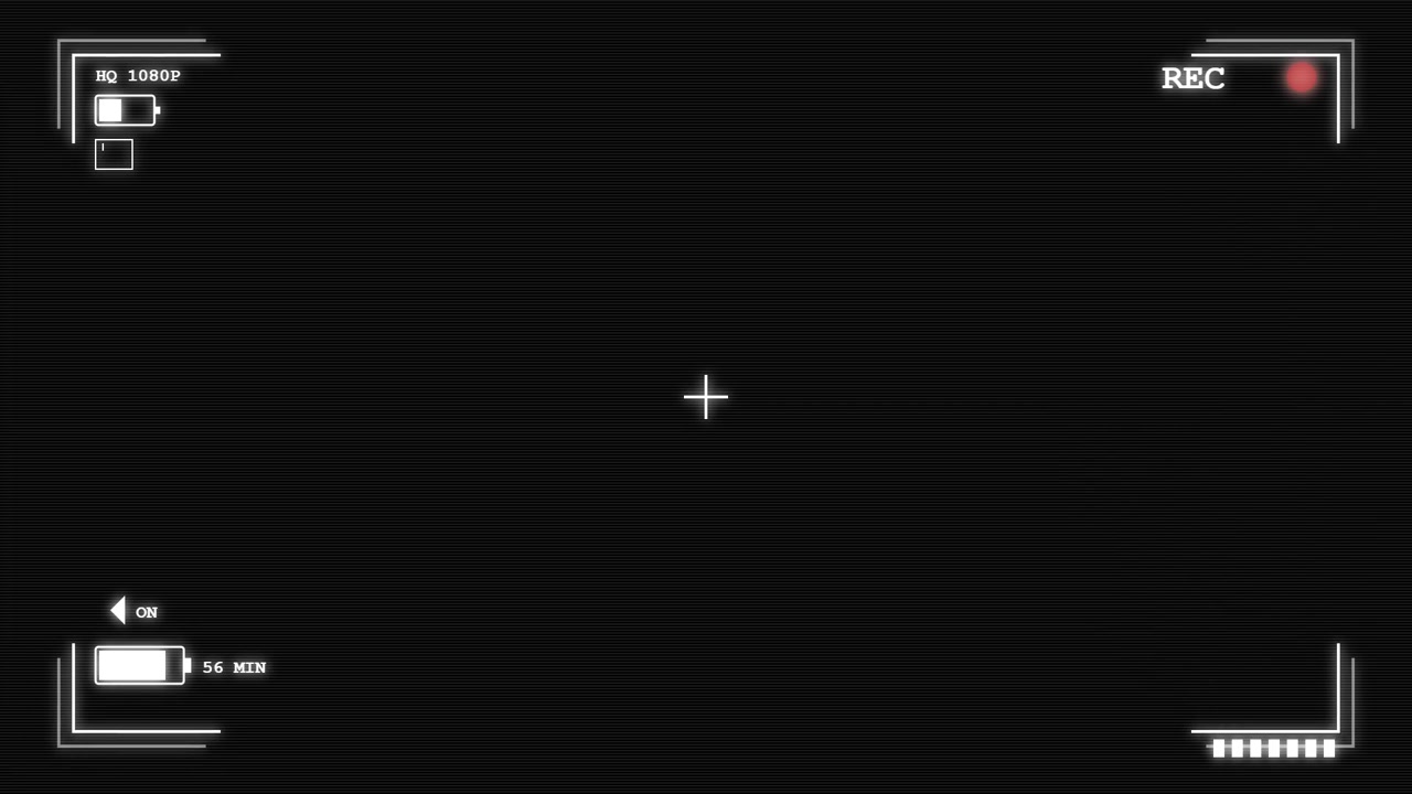 Digital Camera Viewfinder Overlay with Recording Indicator