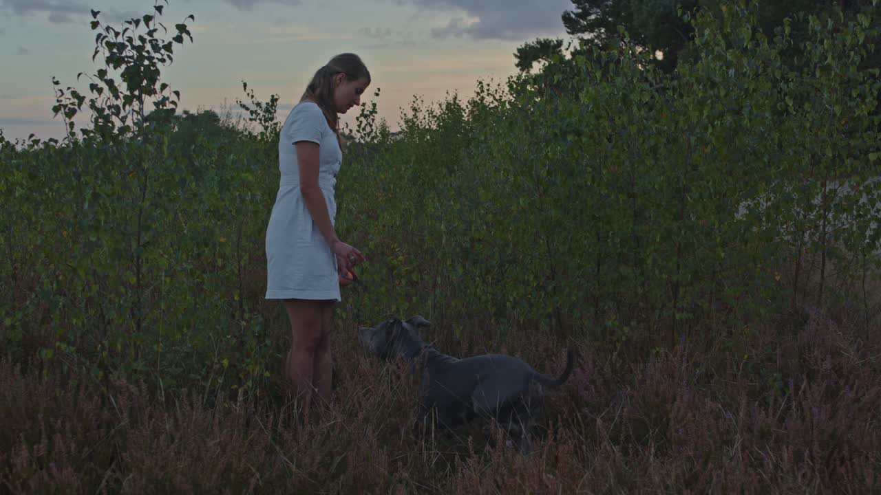 헤더 필드에 서서 그녀의 개를 부르는 매력적인 젊은 여자