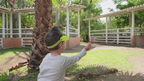 niño pequeño que ofrece comida a los animales del zoológico