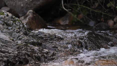 Tilt-Nahaufnahme-Des-Wunderschönen-Wasserfalls-Eines-Flusses-Im-Wald-Der-Sieben-Brüder