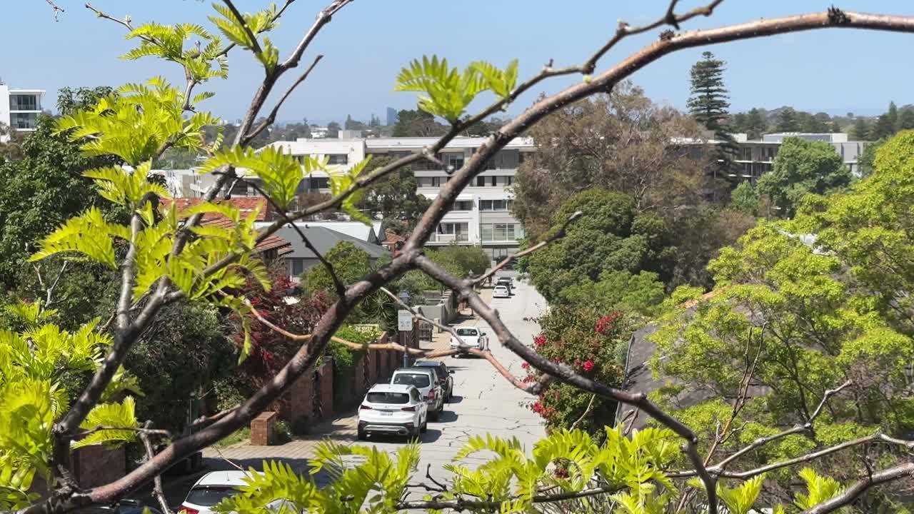 Claremont leafy suburb high view expensive area - street thru branches