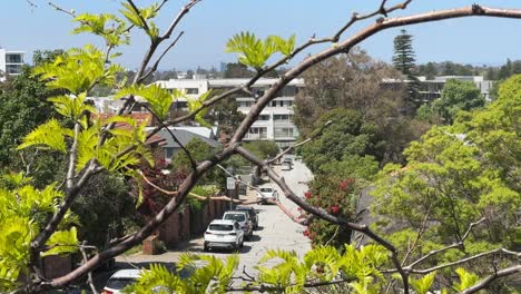 claremont leafy suburb high view expensive area - street thru branches