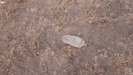 an-old-empty-plastic-bottle-on-a-parched-land-are-a-symbol-of-the-climate-change-going-on-in-the-world