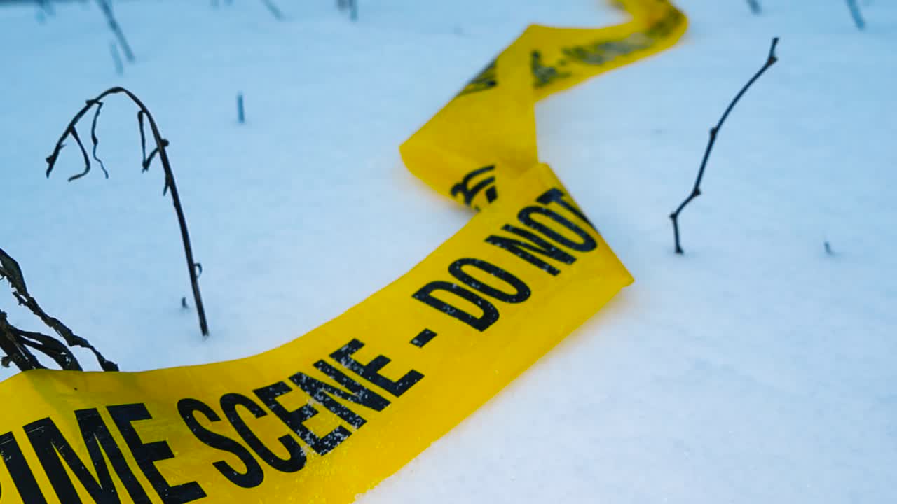 Yellow colored forensic police crime scene science tape ribbon on white fluffy snow at winter time while snow is falling on it. Some grass and reed around it, shallow depth of field and bokeh back