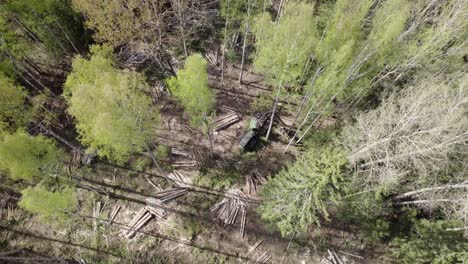 Aerial-of-tree-harvester-cutting-deforesting-a-green-forest