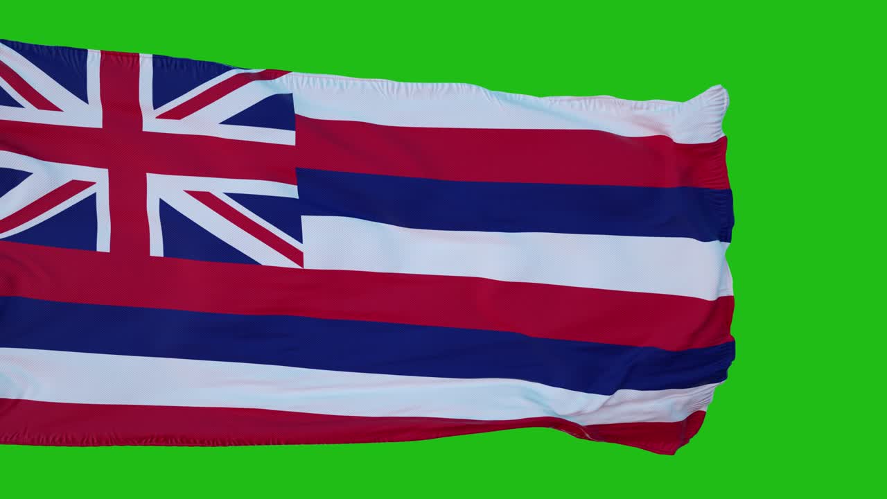 하와이의 발을 녹색 화면으로 표시합니다. 초록 화면을 사용하여 자신의 배경에 완벽합니다. 3d 렌더링