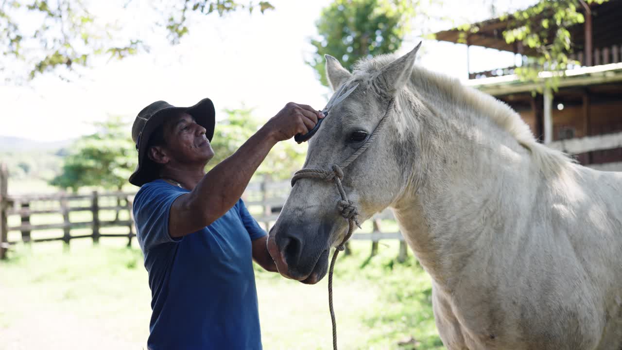 Hombre acicalando un caballo blanco en un día soleado en la granja