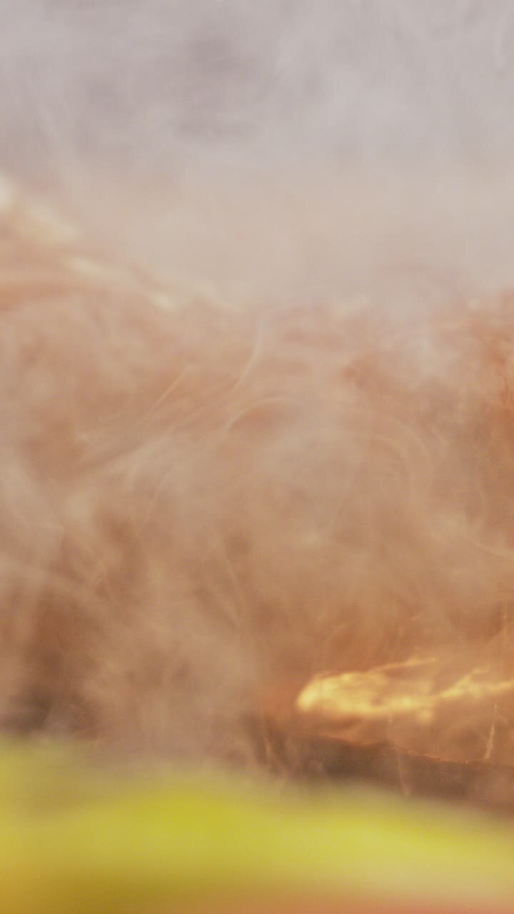 Abstract macro with smoke