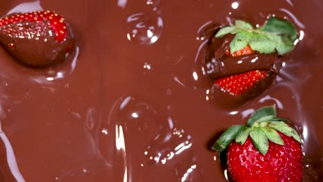 strawberries being dipped in melted chocolate