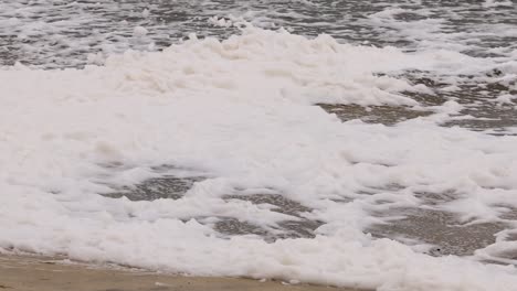 Close-up view of seafoam and waves gently washing over a sandy beach.