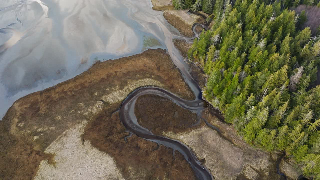 árboles a lo largo del océano en una hermosa toma de avión no tripulado de la costa de bc en la isla de vancouver columbia británica en canadá