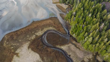 Trees-along-the-ocean-in-a-beautiful-drone-shot-of-the-BC-coast-on-Vancouver-Island-British-Columbia-in-Canada