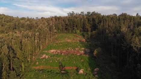 Una-Exuberante-Colina-Verde-En-Las-Montañas-De-Yercaud-Rodeada-Por-Un-Enorme-Bosque,-India