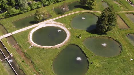 drone flies above circle ponds in fish farm, sunny summer day