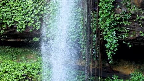 a vertical waterfall cascades in front of dense green foliage and rock, with soft daylight and a stable, unmoving camera capturing the tranquil scene