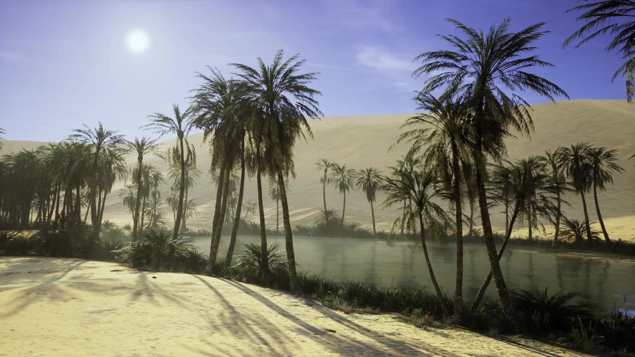Sunlit palm oasis in saudi arabia with calm water and soft dune backdrop