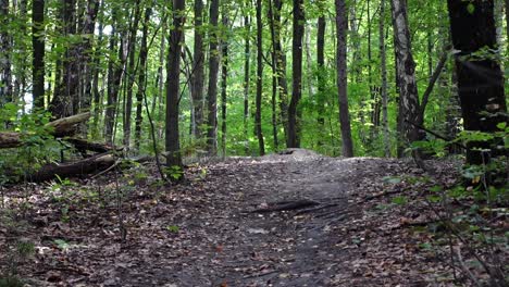 A-static-shot-in-slow-motion-of-an-adult-male-jumping-on-an-emtb-on-the-trails-in-the-forest