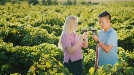 cata de vinos en el viñedo la gente prueba el vino tinto en un tour de vinos