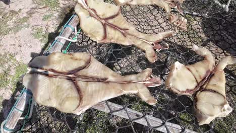 Sun-dried-salted-shark-meat-on-mesh-outdoors,-traditional-food-preparation,-close-up-view