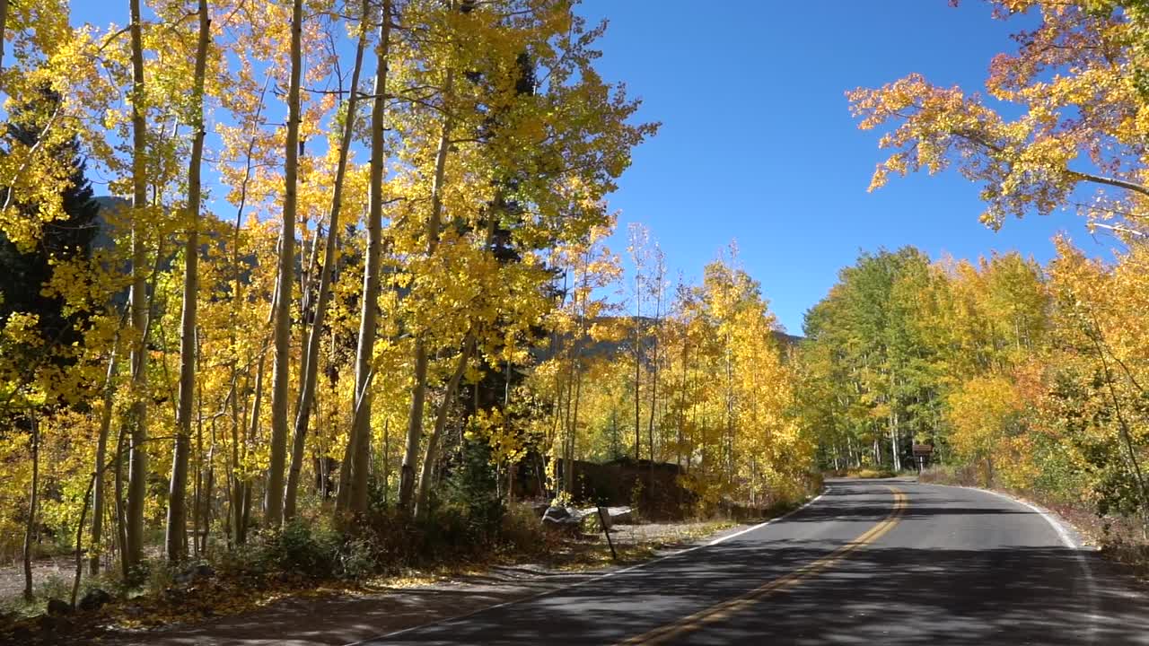 An empty road twists through the fall foliage on Independence Pass, Vail, Colorado. USA