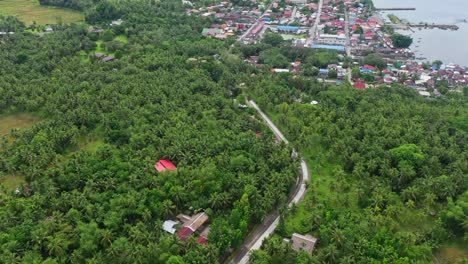 Countryside-Road-Through-Coconut-Trees-Plantation-At-The-Coastline-Of-Panaon-Island