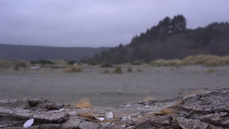 empty beach on nature trail