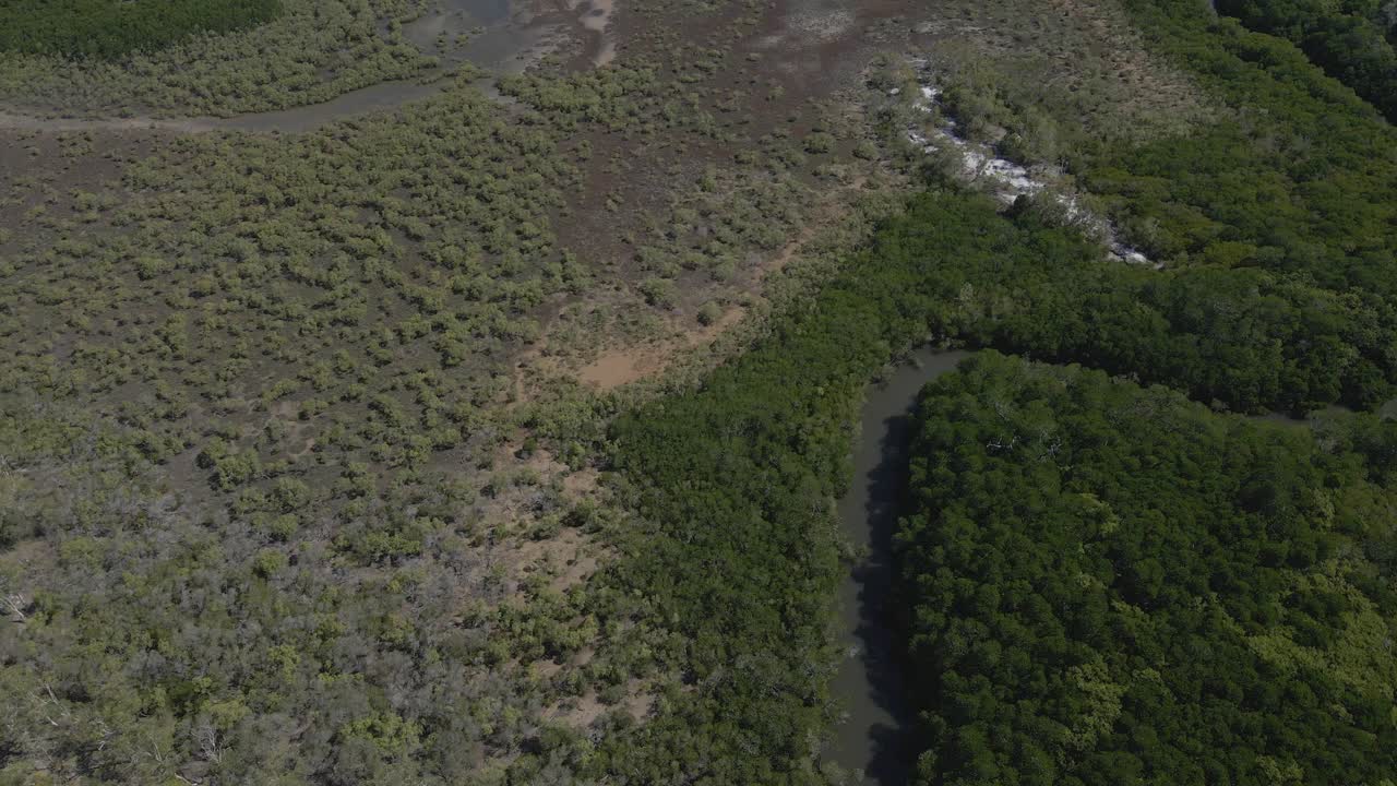 arroyo a través de un denso bosque en la costa de morey arrecife cerca de port douglas en el norte de queensland, australia