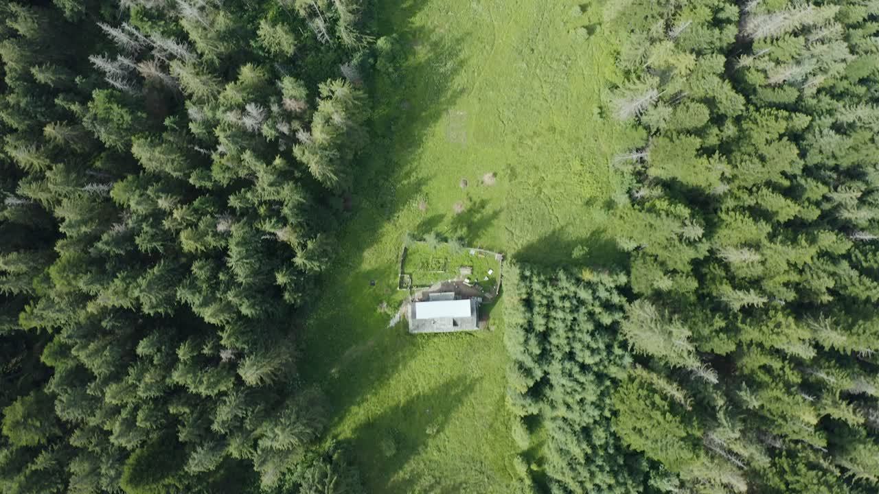 폴란드 남부 의 울창 한 숲 산 의 나무 꼭대기