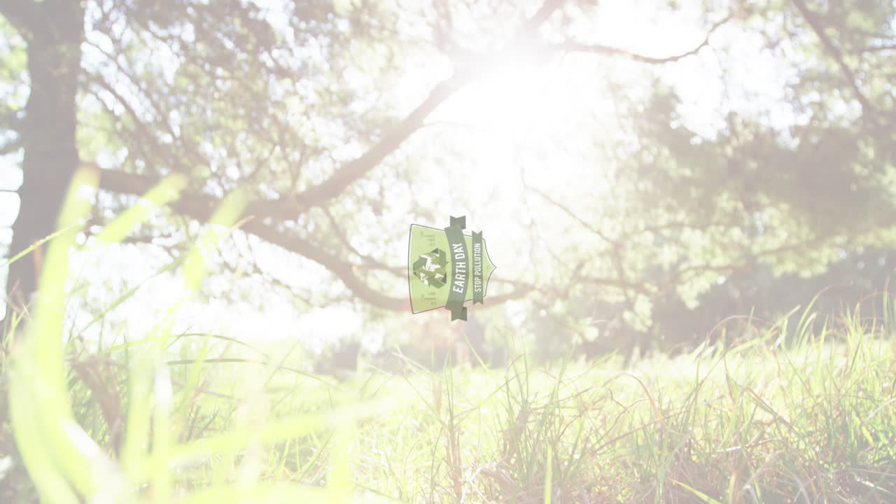 태양 위의 잔디와 나무의 애니메이션