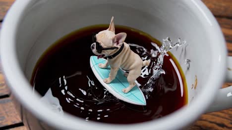 cute miniature french bulldog surfs a coffee cup