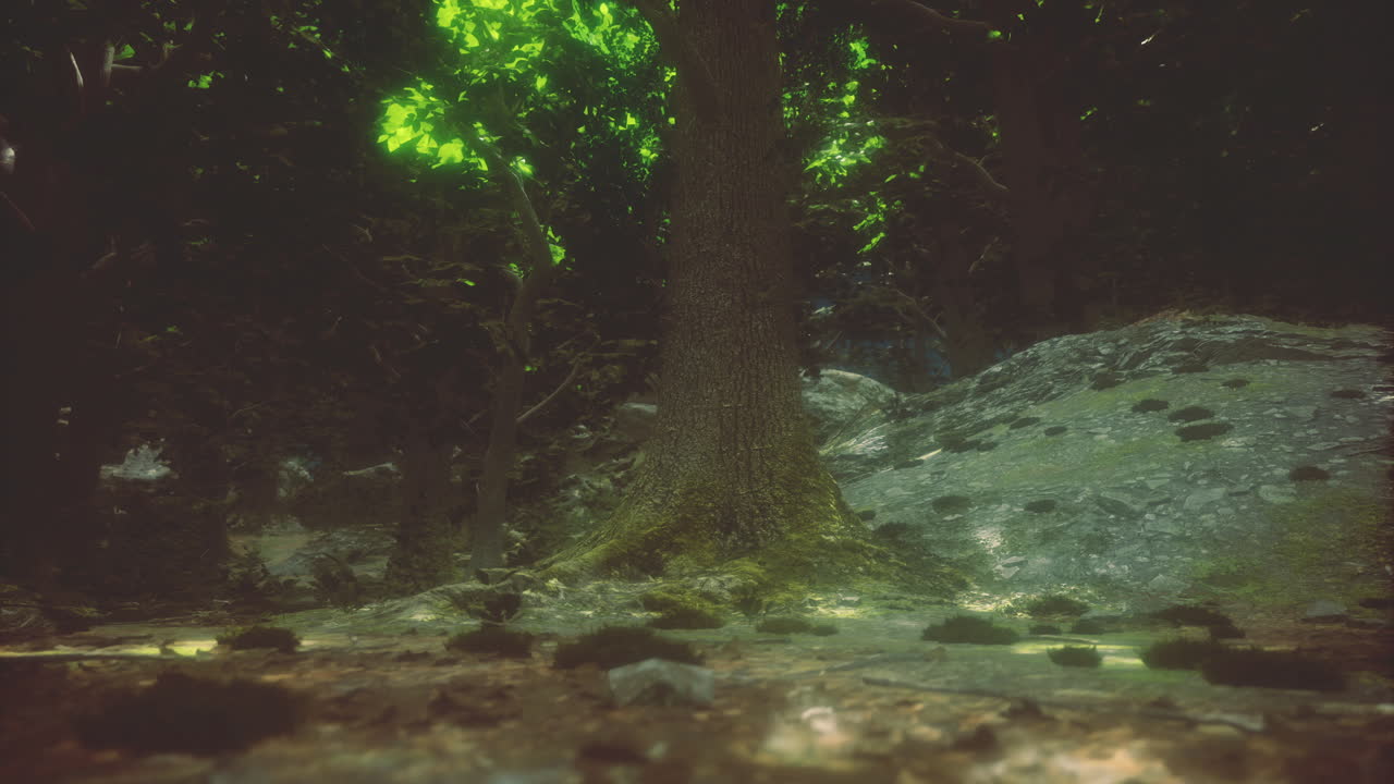 Un albero maestoso si erge in una foresta mistica illuminata da una luce intensa