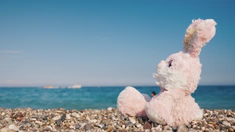 the toy hare is resting on the seashore. takes sun baths