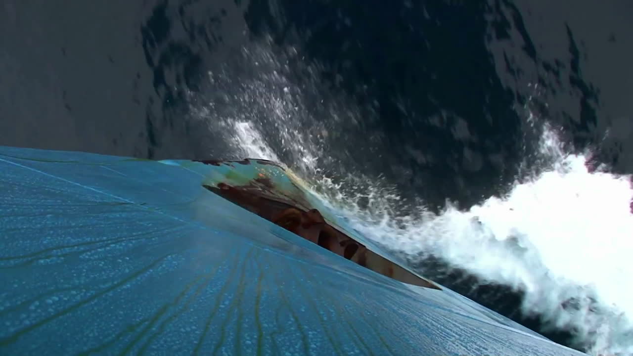 빙산이 보이는 아래 바다를 보기 위해 배의 뱃머리에서 똑바로 내려다보는 예술적 샷 1