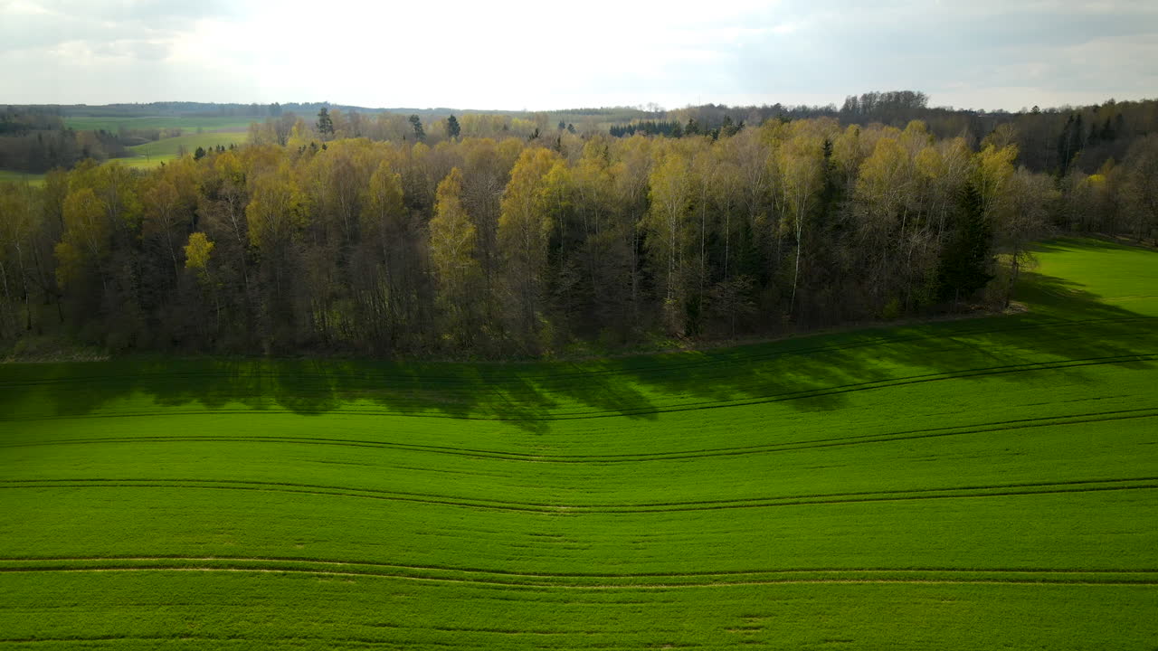 Aerial view of hilly green farm fields and colorful forest trees during sunny spring day