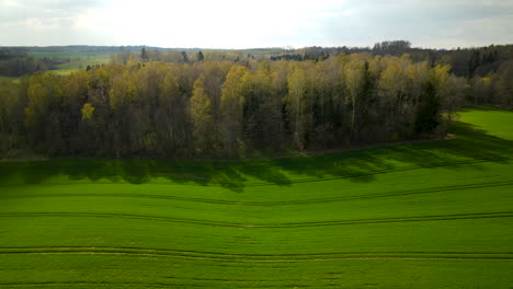 Vista-Aérea-De-Campos-De-Cultivo-Verdes-Montañosos-Y-Coloridos-árboles-Forestales-Durante-El-Soleado-Día-De-Primavera