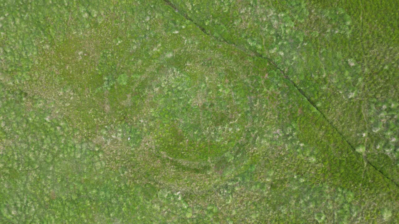 cubiertos de hierba en las colinas galesas, llech llia, elevación aérea