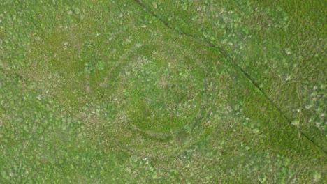 Grass-covered-henge-on-Welsh-hills,-Llech-Llia,-Aerial-raise-out