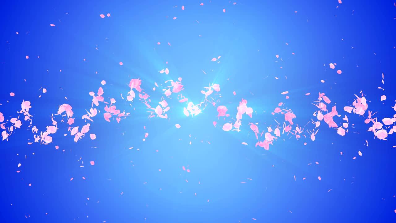 꽃의 나선형 반이는 입자, 사쿠라 패턴, 일본의 꽃 춤, 분홍색 꽃잎의 소용돌이, 추상적인 루프 애니메이션.