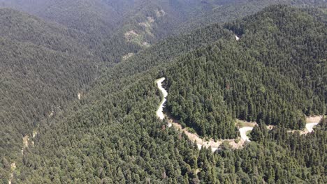 Metraje-De-Drone-De-La-Carretera-En-Zigzag-Entre-El-Bosque-1