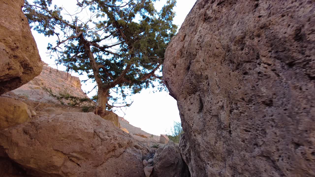 desierto del sáhara de argelia biskra