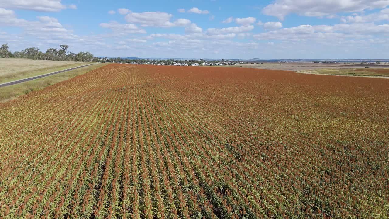 el avión no tripulado captura campos expansivos bajo cielos azules