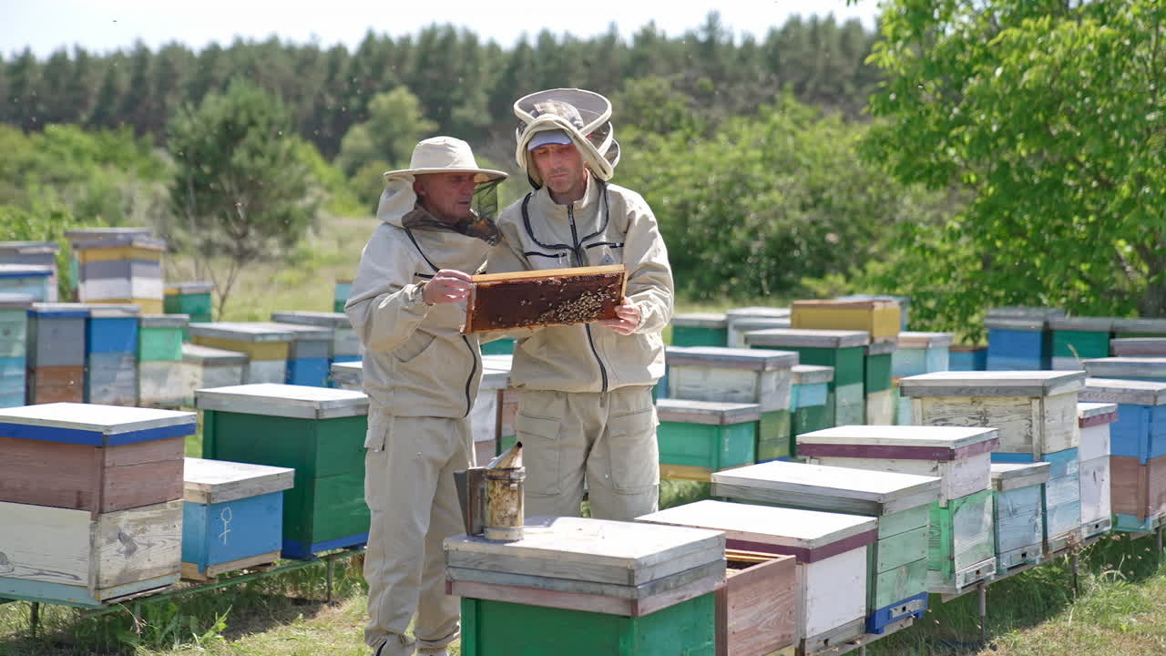 Experienced beekeepers in special protective outfits working in the apiary. Men stand among the wooden hives examining the frame. Nature background.