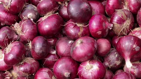 fresh-organic-onion-from-farm-close-up-from-different-angle