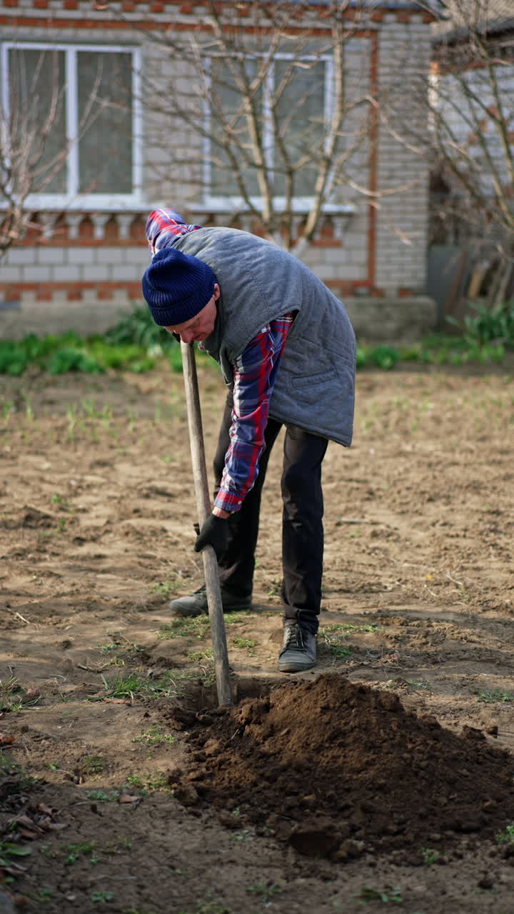 Caucasian gardener digs a pit near his house. Preparing he place for the new tree. Vertical video.