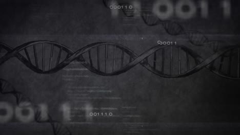 animación del procesamiento de datos, números y adn sobre un fondo gris